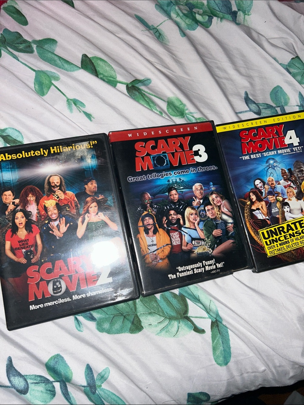 Scary Movie 2-4 DVD Set